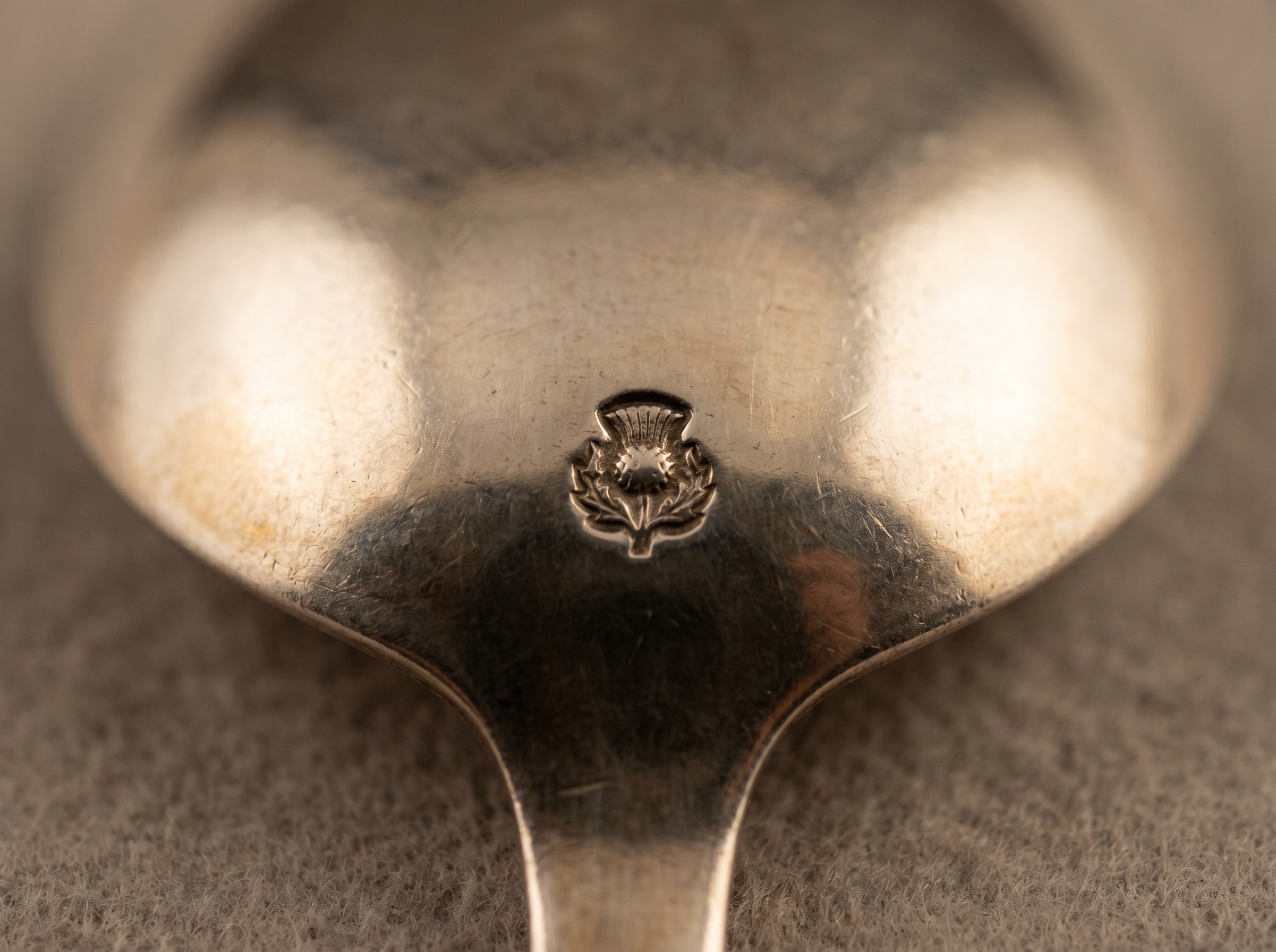 Extreme macro of Edinburgh thistle standard mark struck on antique Scottish sterling silver