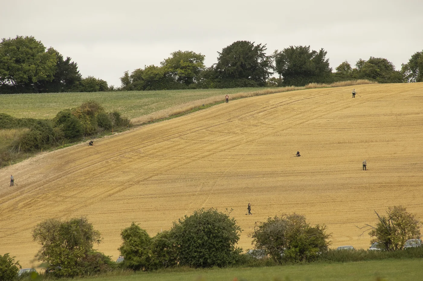 Metal detectorists spread out across a harvested field in the Hensting valley, Hampshire, with hedges and woodland behind