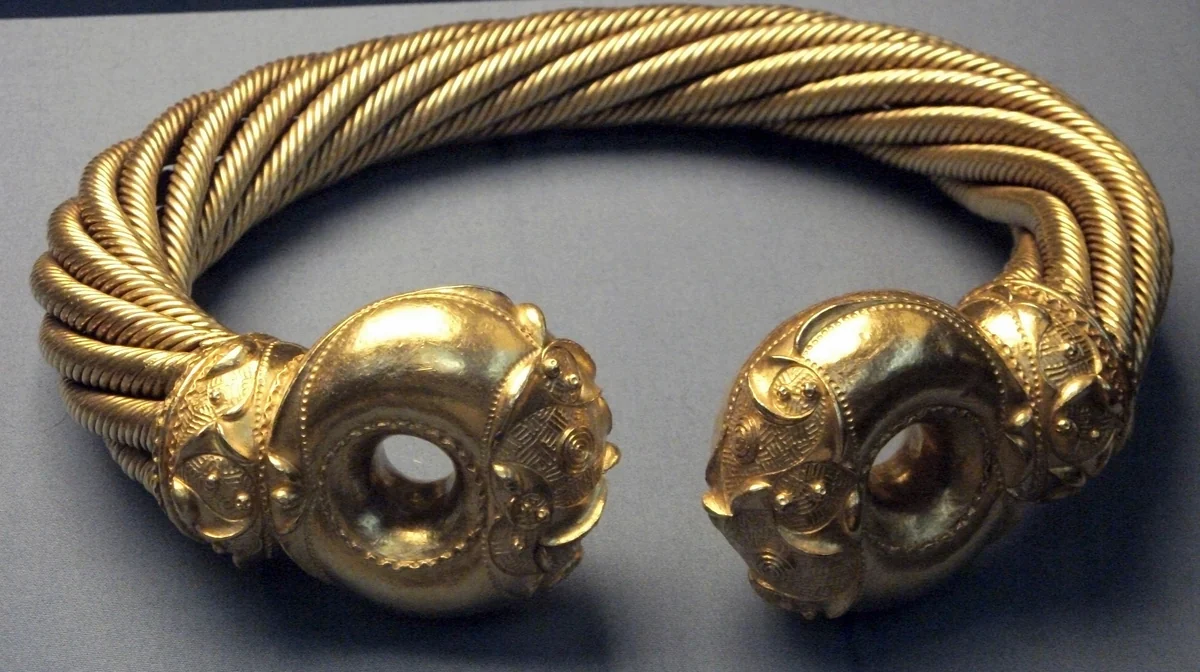 The Snettisham Great Torc, a heavy twisted gold neck ring with two decorated ring terminals, on display